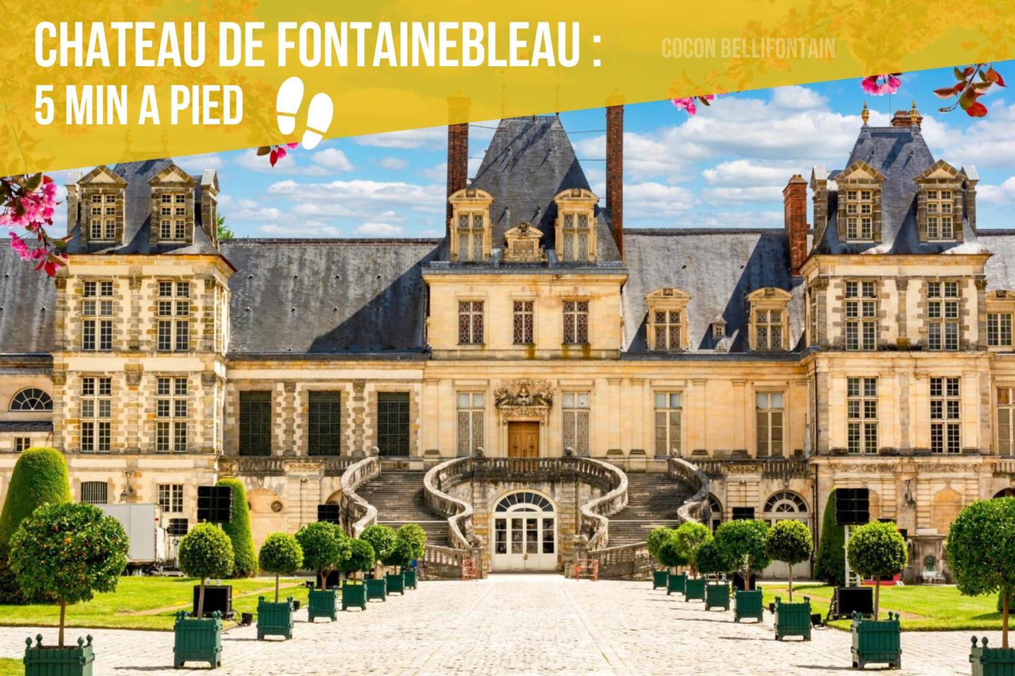 Le Cocon De Fontainebleau - Centre-Ville, Proche Insead & Chateau Ngoại thất bức ảnh